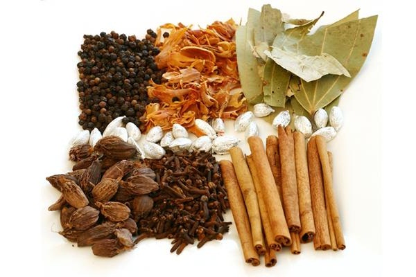 Điều trị viêm gan B theo thể bệnh
