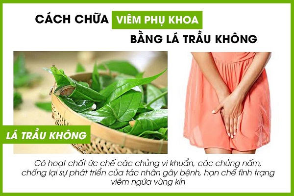 Chua-viem-phu-khoa-bang-nguyen-lieu-dan-gian-tai-nha Chua-viem-phu-khoa-bang-nguyen-lieu-dan-gian-tai-nha