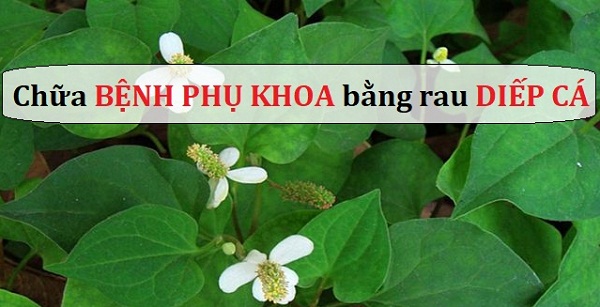 Chua-viem-phu-khoa-bang-nguyen-lieu-dan-gian-tai-nha Chua-viem-phu-khoa-bang-nguyen-lieu-dan-gian-tai-nha