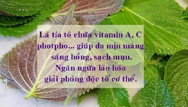Cong-dung-chua-benh-va-lam-dep-cua-tia-to Cong-dung-chua-benh-va-lam-dep-cua-tia-to