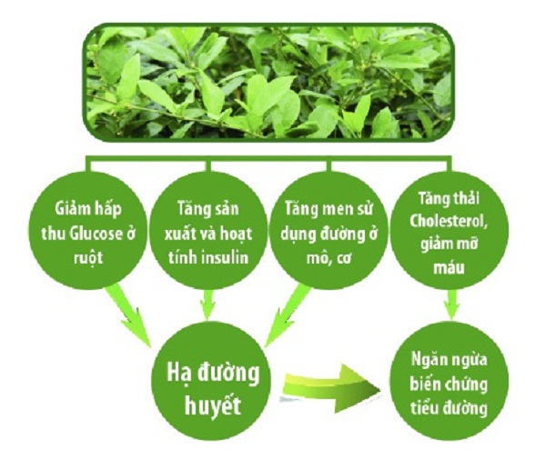 Day-thia-canh-dieu-tri-tieu-duong