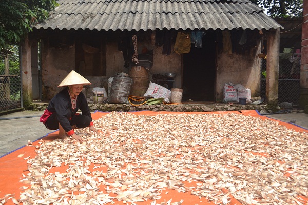 Dieu-tri-dut-diem-viem-khop-goi-cua-ba-lang-nguoi-dao Dieu-tri-dut-diem-viem-khop-goi-cua-ba-lang-nguoi-dao