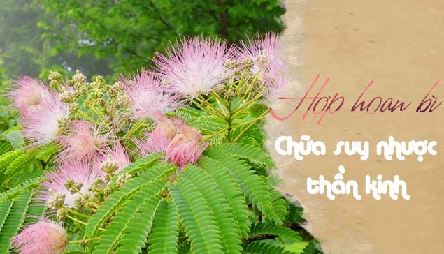 Dieu-tri-suy-nhuoc-than-kinh-bang-cay-thuoc-nam