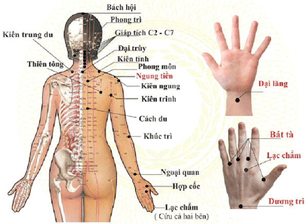 Dieu-tri-xuong-khop-bang-phuong-phap-mat-xa-bam-huyet