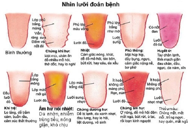 Dong-Y-xem-luoi-chan-benh