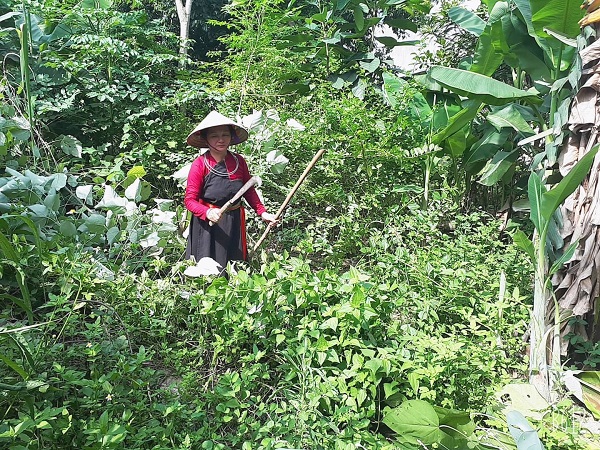 Nhung-cau-hoi-thuong-gap-ve-sinh-ly-va-bai-thuoc-dieu-tri