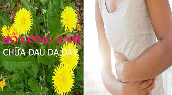 Nhung-loai-la-cay-chua-benh-da-day