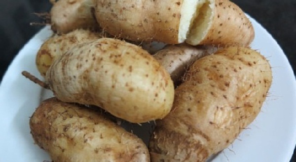 Phuong-phap-dan-gian-tri-hoi-nach