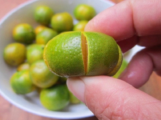 Qua-quat-qua-tac-va-nhung-tac-dung-chua-benh