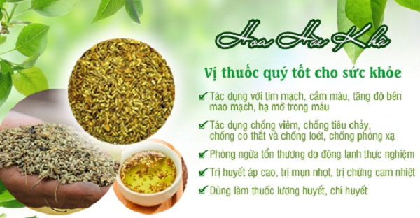 Tac-dung-chua-benh-cua-hoa-hoe