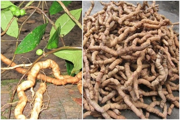 Tac-dung-cua-ba-kich