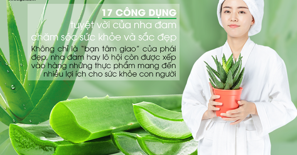 Tác dụng của cây nha đam trong làm đẹp và chữa bệnh