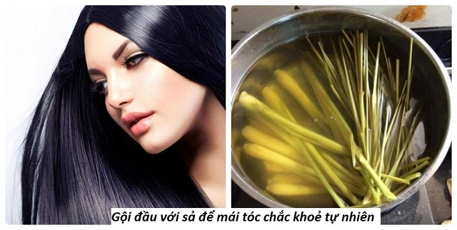 Tac-dung-cua-cay-sa