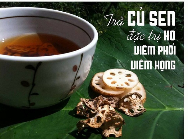 Tac-dung-cua-cu-sen-voi-phoi