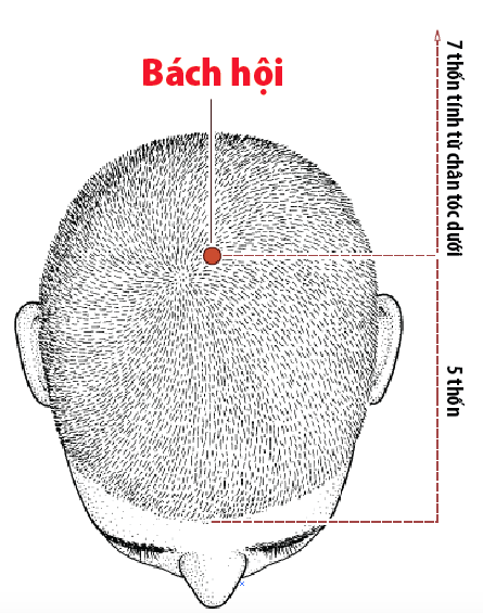 Tac-dung-cua-huyet-bach-hoi-kich-thich-than-kinh-giam-met-moi