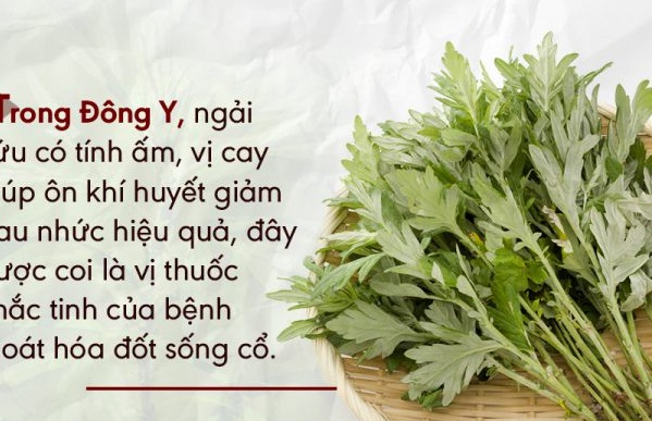 Tac-dung-cua-ngai-cuu-trong-dieu-tri-xuong-khop-va-an-than