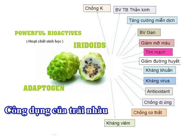 Tac-dung-cua-trai-nhau Tac-dung-cua-trai-nhau