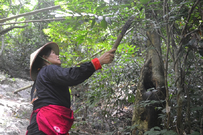 Thao-duoc-chua-thoat-vi-dia-dem-cua-luong-y-nguoi-dao