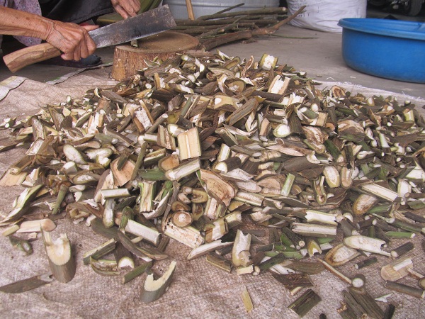 Thao-duoc-tang-cuong-sinh-ly Thao-duoc-tang-cuong-sinh-ly