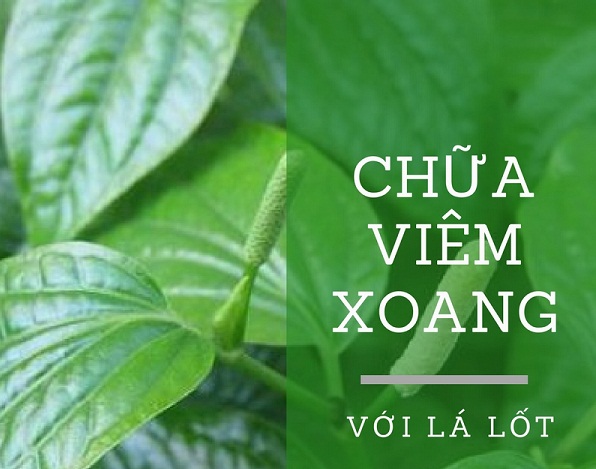 Bài thuốc Nam điều trị bệnh viêm xoang