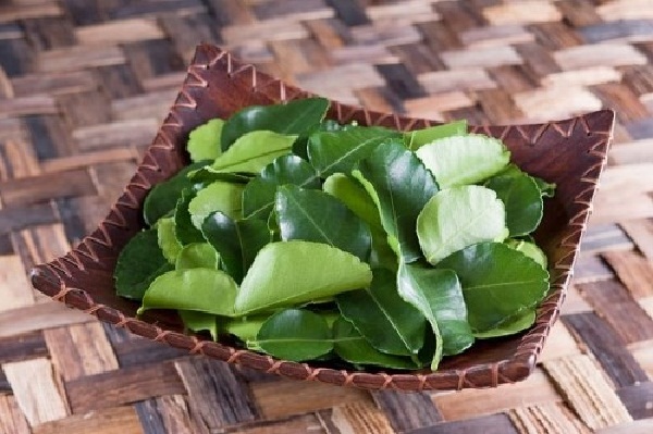 Bài thuốc Nam điều trị bệnh viêm xoang