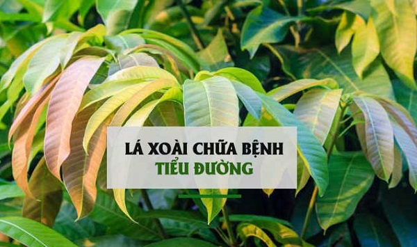 thuốc nam trị tiểu đường thuốc nam trị tiểu đường