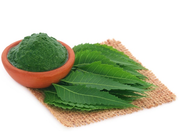 thuốc nam trị tiểu đường thuốc nam trị tiểu đường