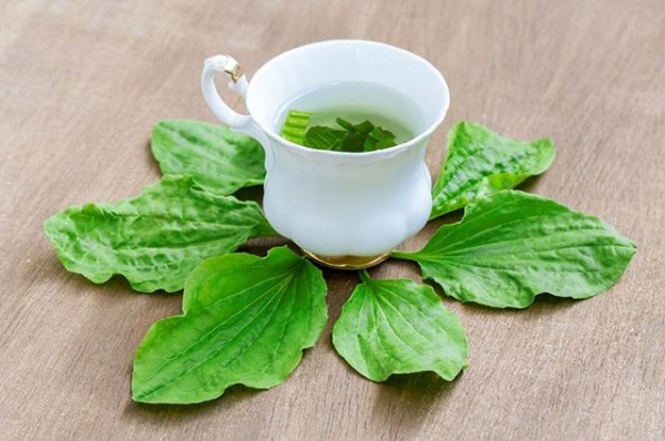 thuốc nam trị tiểu đường thuốc nam trị tiểu đường