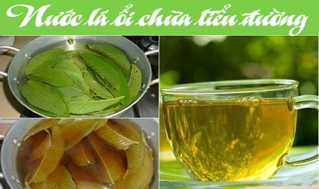thuốc nam trị tiểu đường thuốc nam trị tiểu đường