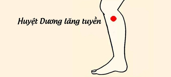 bam-huyet-chua-benh-gut bam-huyet-chua-benh-gut