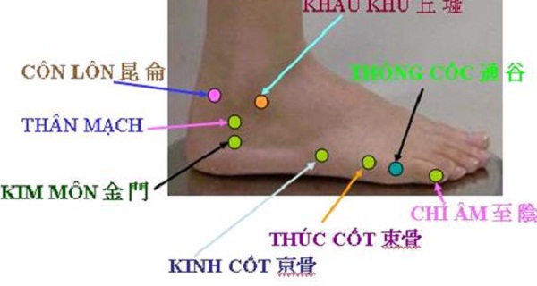 bam-huyet-chua-benh-gut bam-huyet-chua-benh-gut