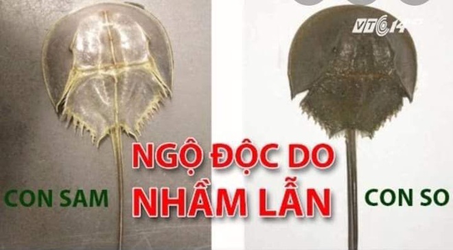 Gia đình 7 người ngộ độc nhập viện, cháu bé 8 tuổi tử vong sau khi ăn hải sản Gia đình 7 người ngộ độc nhập viện, cháu bé 8 tuổi tử vong sau khi ăn hải sản