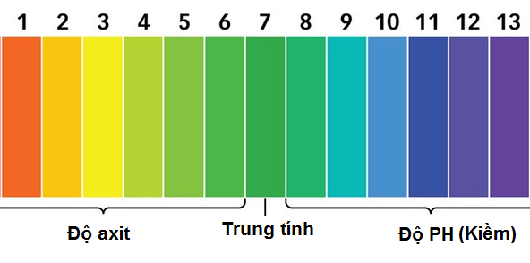 kiểm cha độ ph bằng quỳ tím
