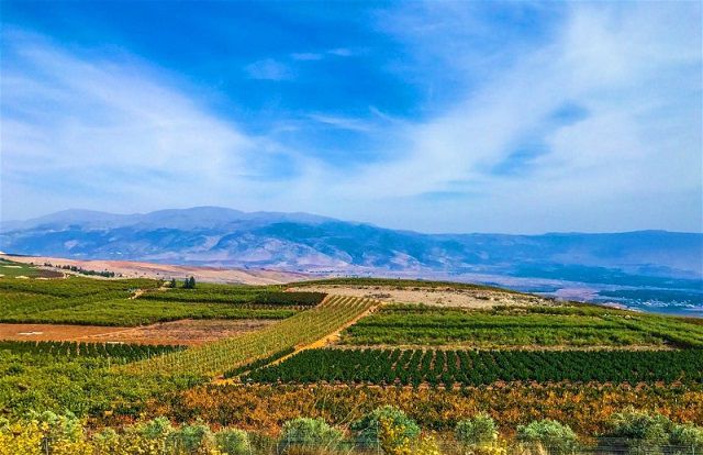 lebanon-o-dau-va-lebanon-co-giau-khong