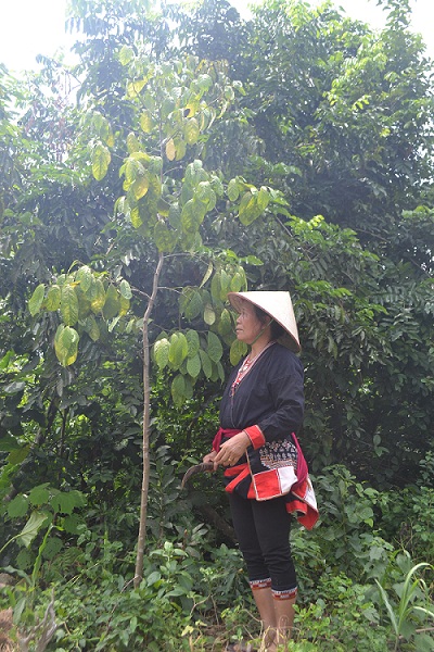 luong-y-Son-la-hoi-vien-cua-hoi-dong-y-tinh-Hoa-Binh