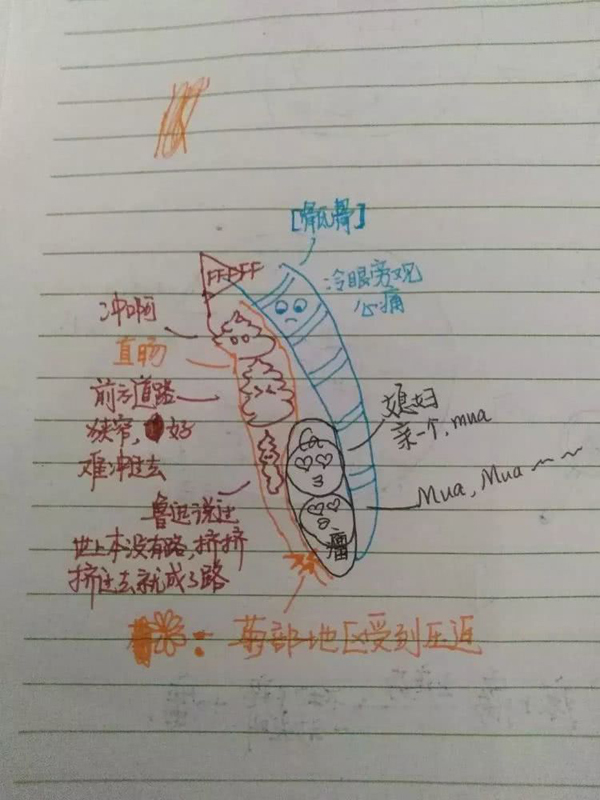 Nữ y tá trẻ qua đời vì ung thư hiến giác mạc cứu người 