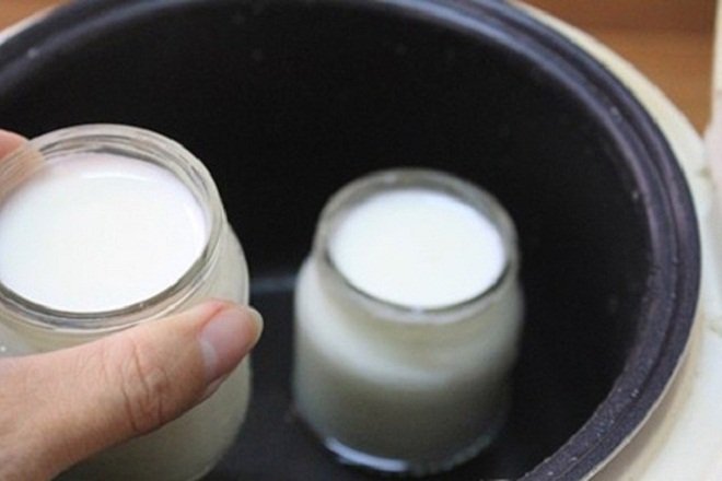 Mách bạn cách làm sữa chua nha đam ngon chuẩn vị, đẹp da lại giữ dáng 