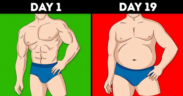 Quá đáng sợ: Ô nhiễm không khí có thể khiến chúng ta tăng cân chỉ sau 19 ngày