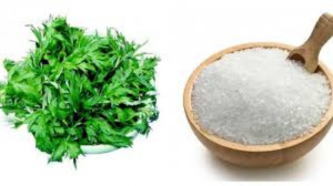 Chữa viêm khớp cổ tay bằng lá ngải cứu rang muối