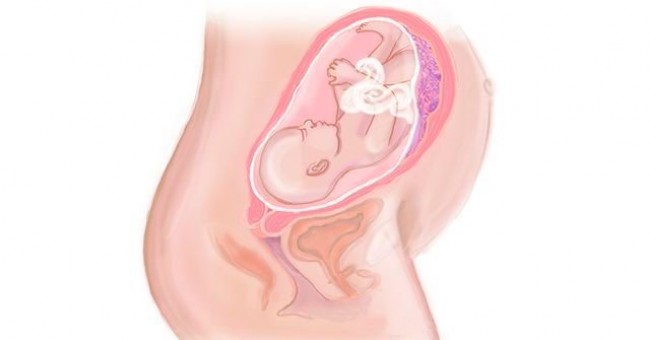 Mẹ bầu nên trang bị những kiến thức tiền sản để đảm bảo an toàn cho thai nhi