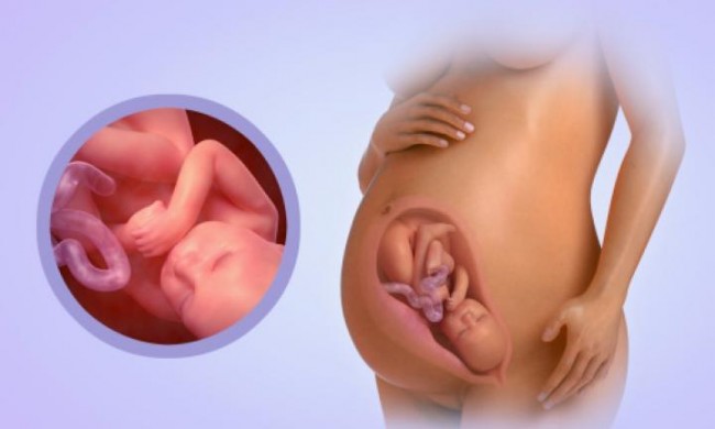 Mẹ bầu không nên quá lo lắng về thời điểm chuyển dạ