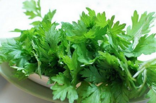 Ngải cứu là loại nguyên liệu hỗ trợ điều trị bệnh phổ biến