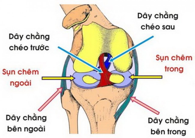 Bệnh lý khớp gối gây biến chứng nguy hiểm nếu không được điều trị kịp thời