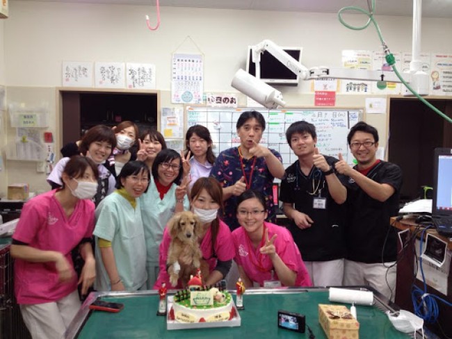 Đội ngũ y, bác sĩ tại Bệnh viện Thú y SASAKI