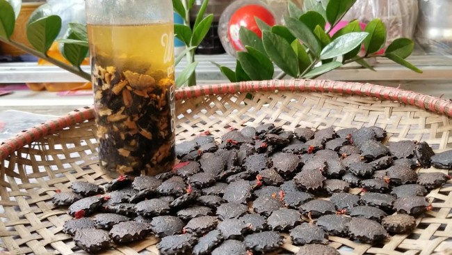 Hạt gấc có hàm lượng lớn chất chống oxy hóa giúp làm đẹp cho da