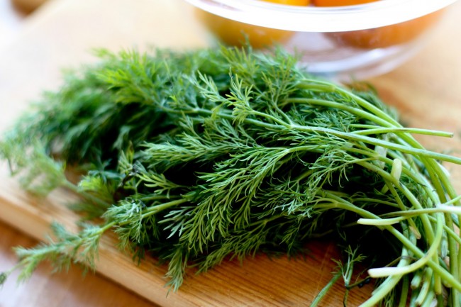 Mẹo trị hôi miệng cho bà bầu bằng rau thì là