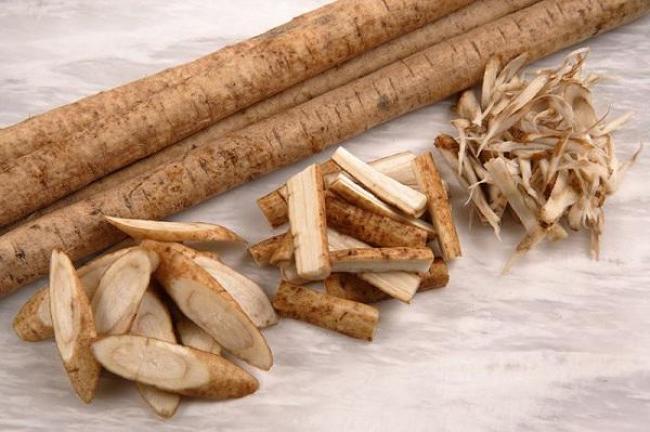 Rễ cây ngưu bàng