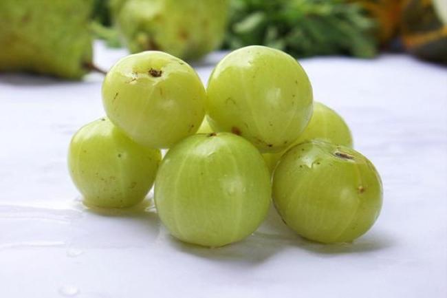 Quả lý gai