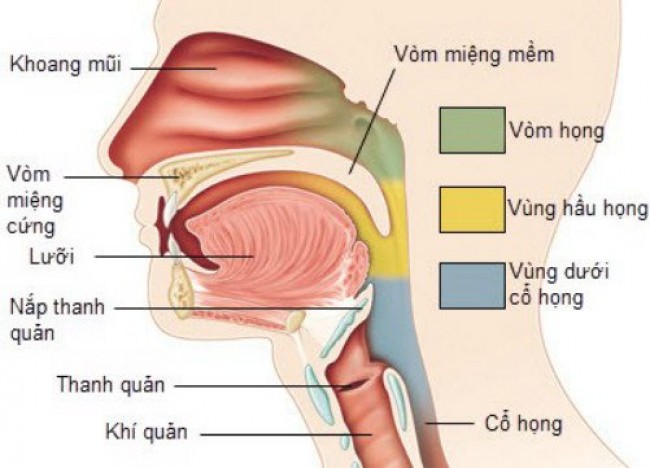 Ung thư vòm họng là căn bệnh ác tính
