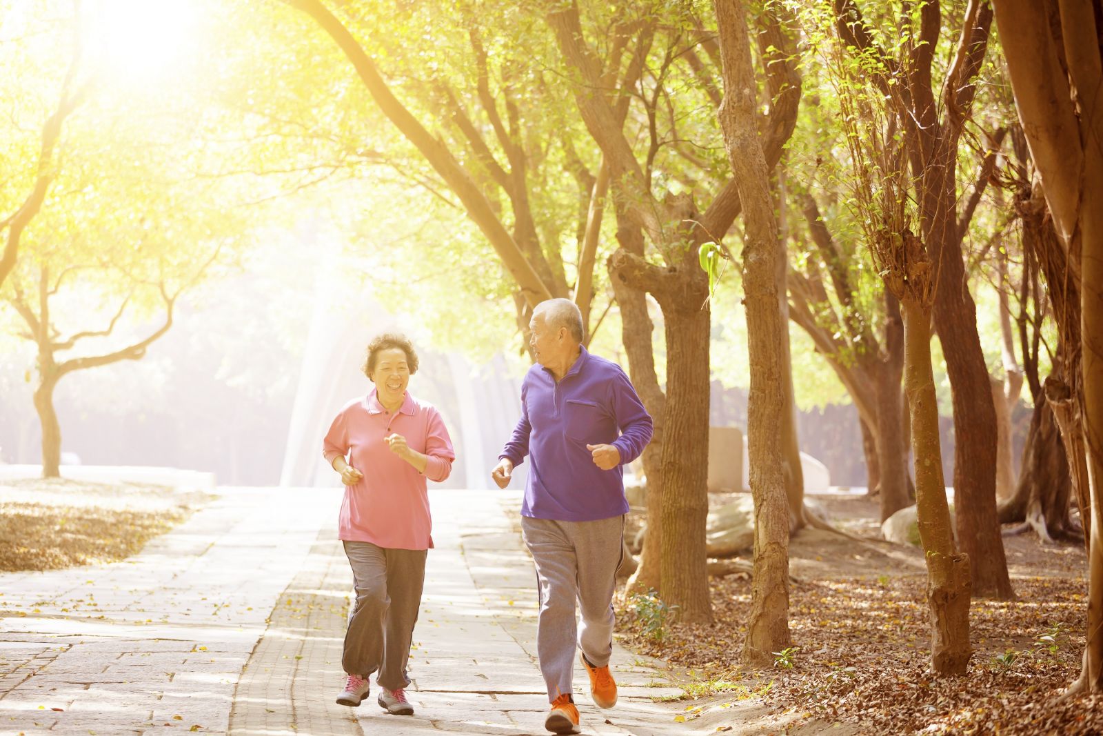 Nghiên cứu mới: Tập thể dục giúp đẩy lùi bệnh Alzheimer